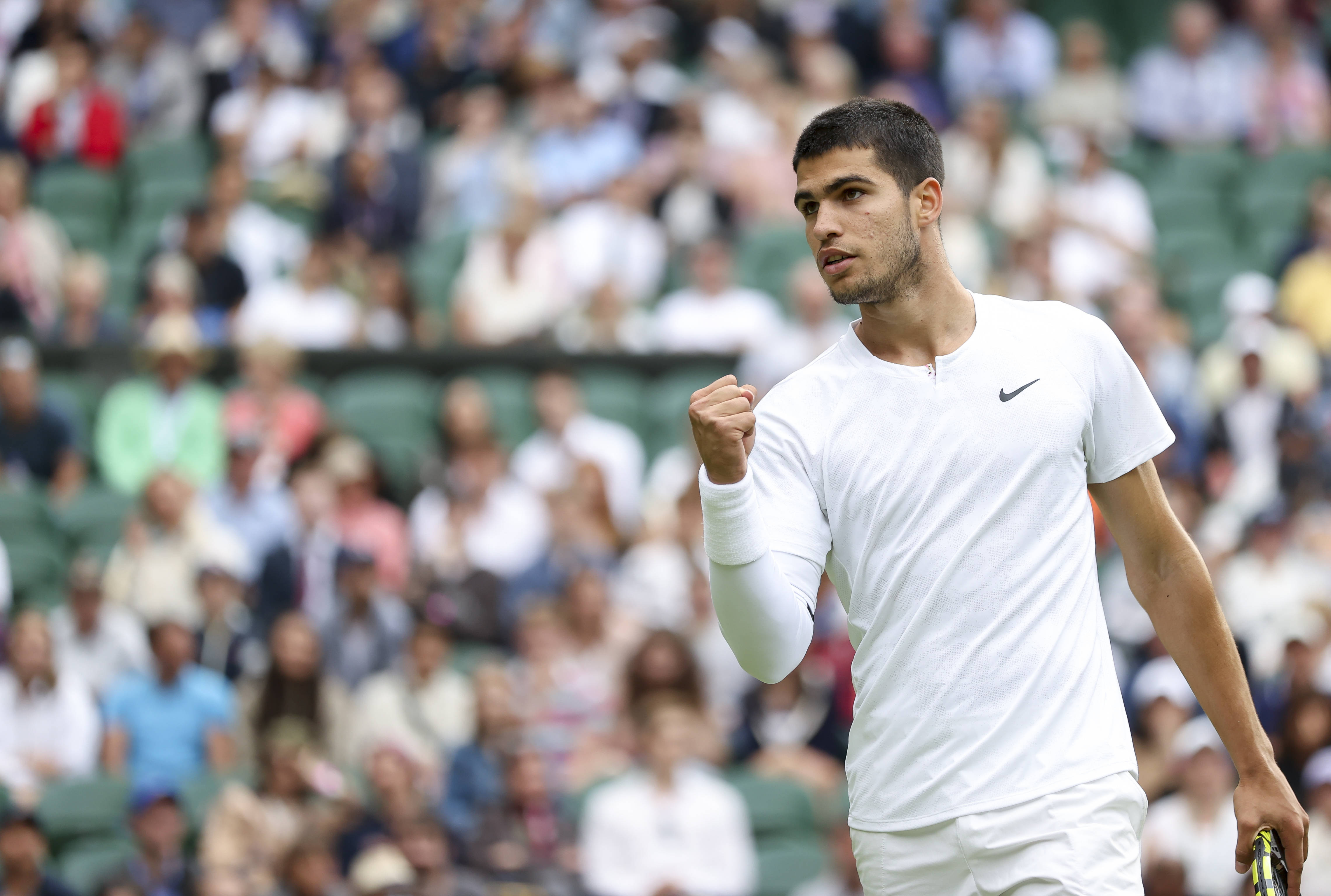 在最新的挑 在最新的挑